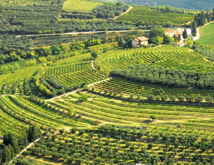 Wino DOCG Amarone della Valpolicella Classico Masua di Jago