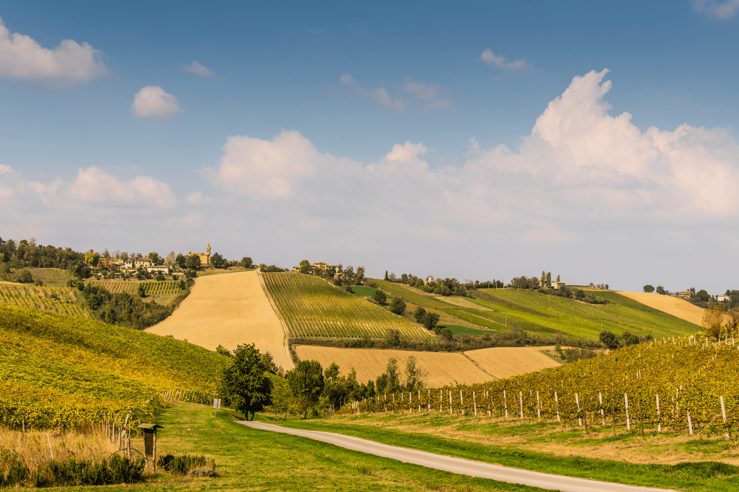 Wino włoskie Lambrusco Emilia Amabile IGT