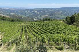 Włoskie wino Maremma Toscana DOC Berretti