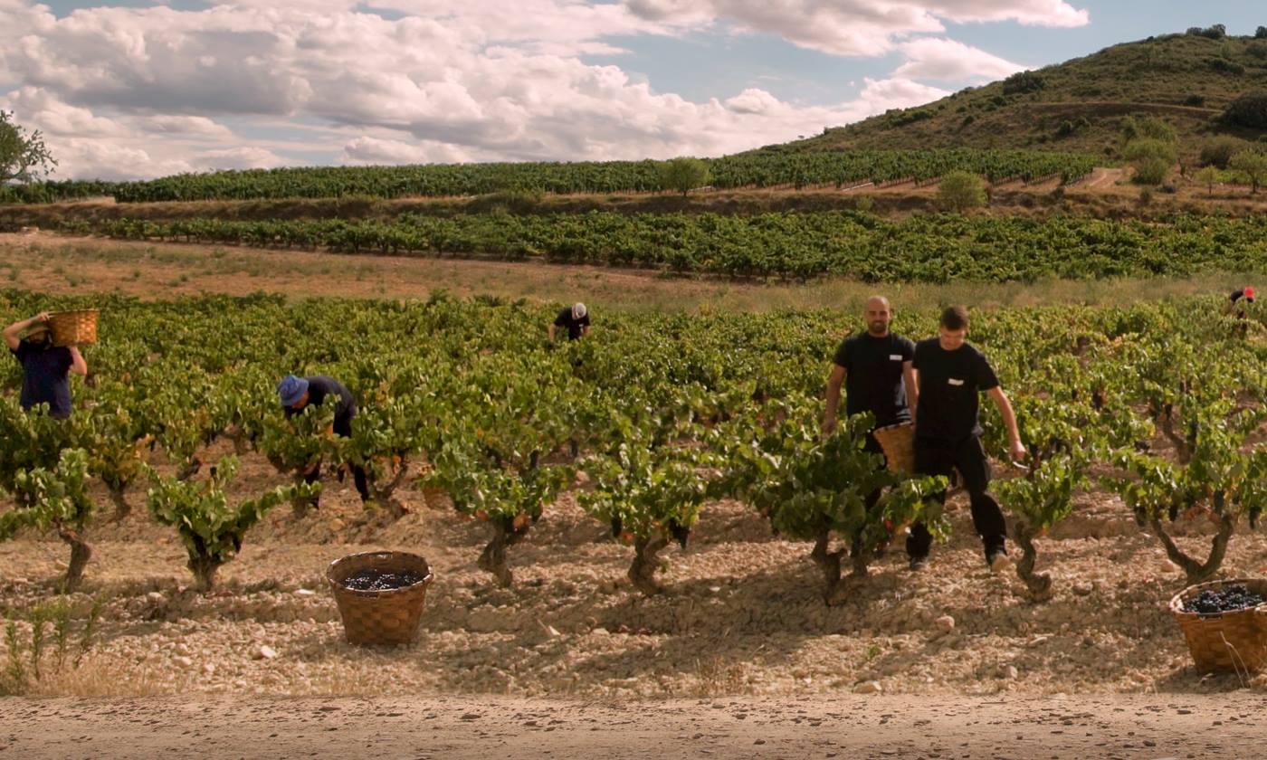 Wino hiszpańskie Monte Real de Familia Reserva Rioja Vegan DOC
